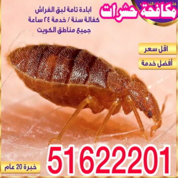 مكافحة حشرات - شركة مكافحة حشرات - بالكويت 51622201 - شركة حشرات - رش حشرات - رش صراصير - مكافحة صراصير - مكافحة بق - مكافحة حشرات وقوارض
