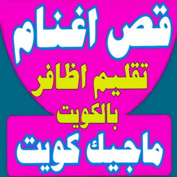 قص اغنام - تقليم اظافر - اغنام الكويت - جزغنم - جز اغنام - جزصوف - حلاق اغنام - حلاق غنم - جز