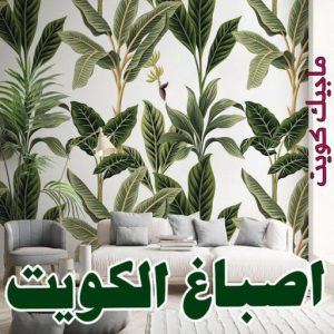 صباغ شاطر - بالكويت 97319277 - صباغ الكويت - صباغ بالكويت - اصباغ - اصباغ الكويت - صباغين - افضل صباغ ورق جدران - رقم صباغ - صباغ رخيص - صباغ 6 اصباغ الكويت